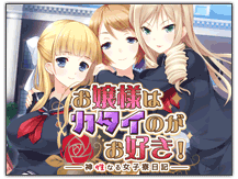 お嬢様はカタイのがお好き!
