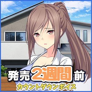 14日前